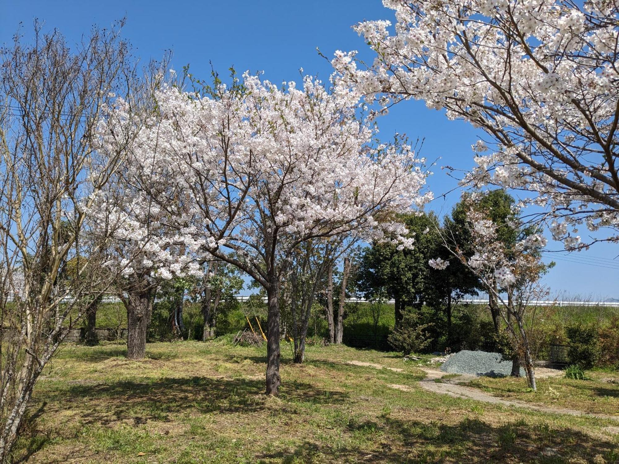 Hotel 民泊サライ七城 à Kikuchi Extérieur photo